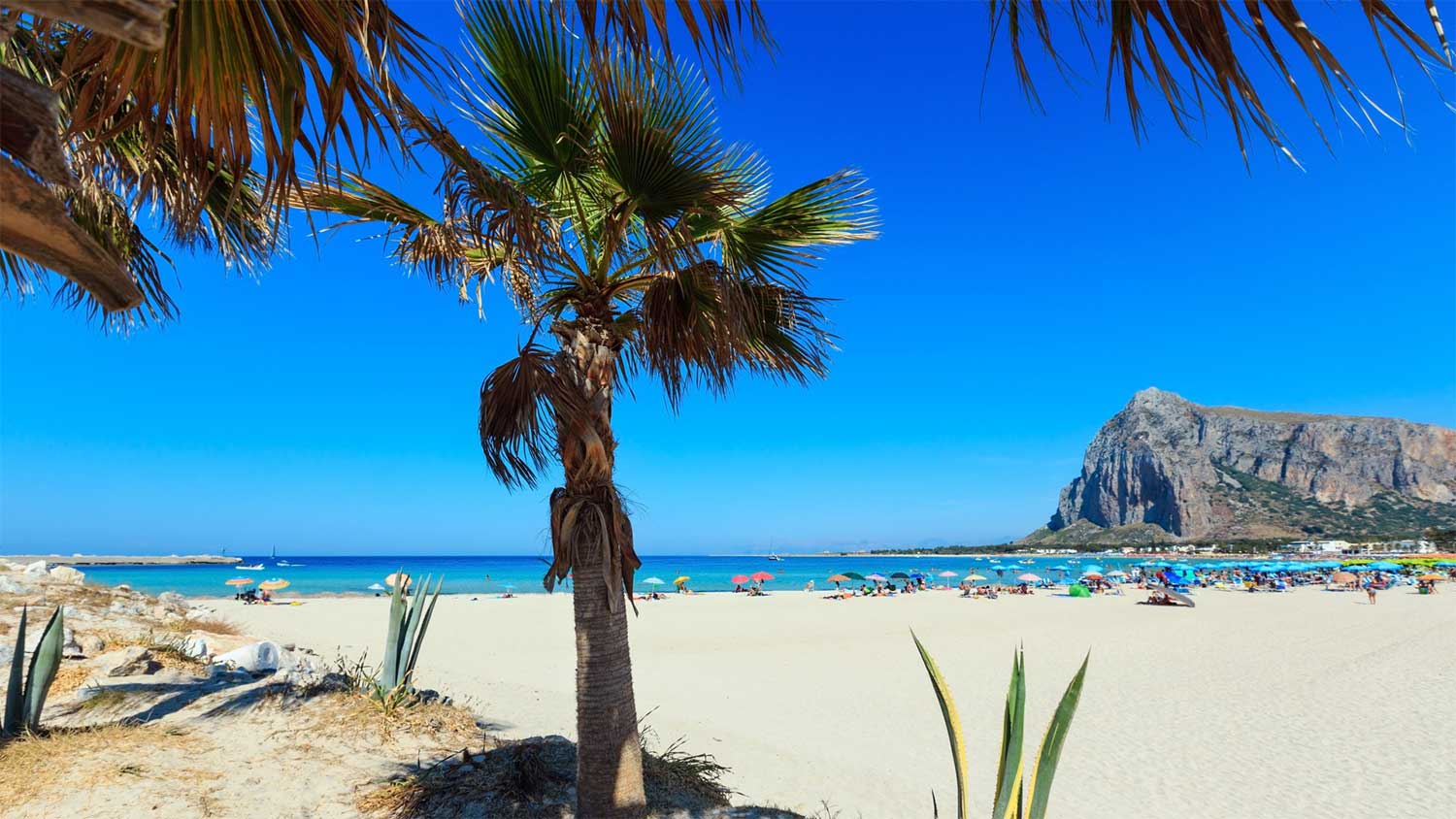 Le spiagge